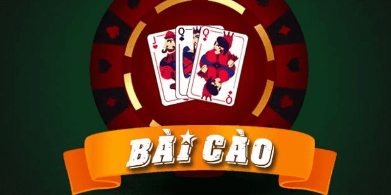 Top 3 loại bài cáo phổ biến nhất hiện nay